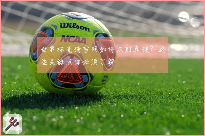 世界杯竞猜官网如何识别真假？这些关键点你必须了解