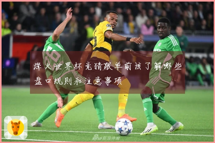 烽火世界杯竞猜跟单前该了解哪些盘口规则和注意事项