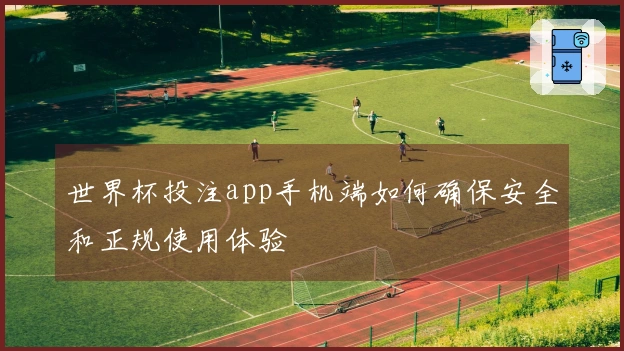 世界杯投注app手机端如何确保安全和正规使用体验