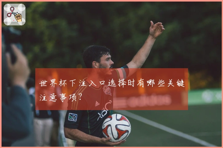 世界杯下注入口选择时有哪些关键注意事项？