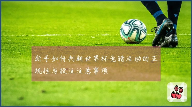 新手如何判断世界杯竞猜活动的正规性与投注注意事项