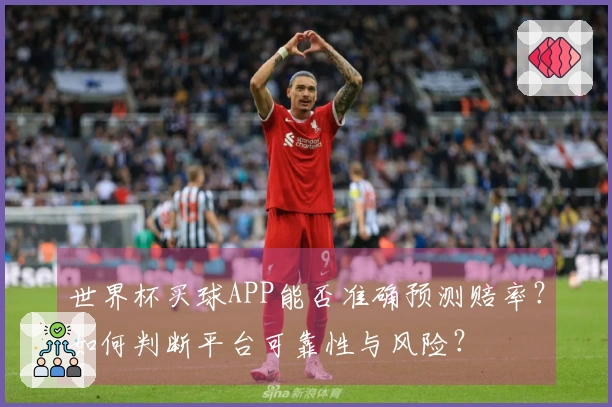 世界杯买球APP能否准确预测赔率？如何判断平台可靠性与风险？