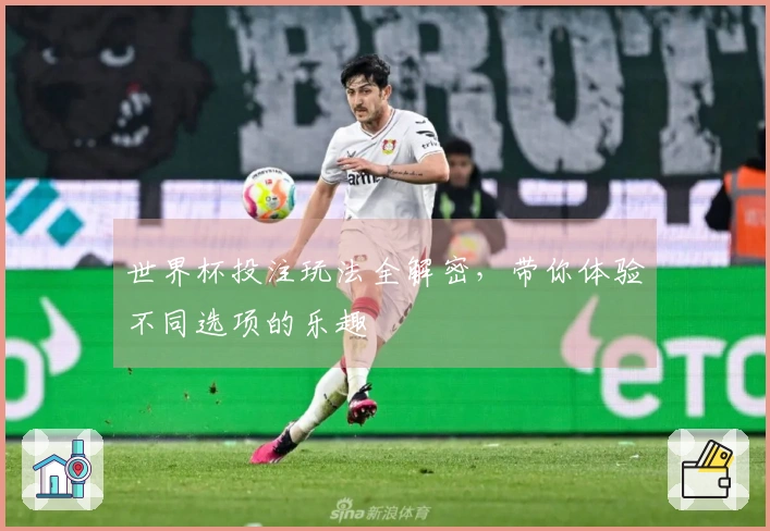 世界杯投注玩法全解密，带你体验不同选项的乐趣