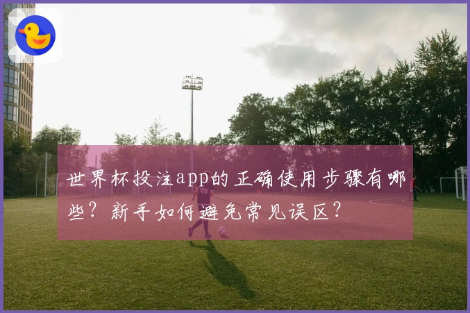 世界杯投注app的正确使用步骤有哪些？新手如何避免常见误区？