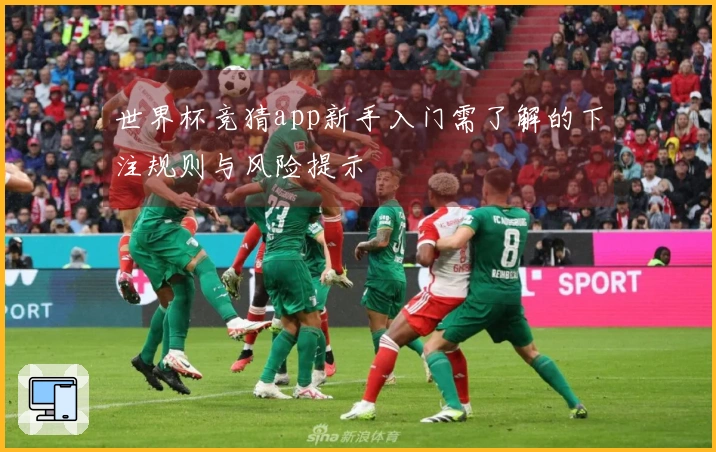 世界杯竞猜app新手入门需了解的下注规则与风险提示