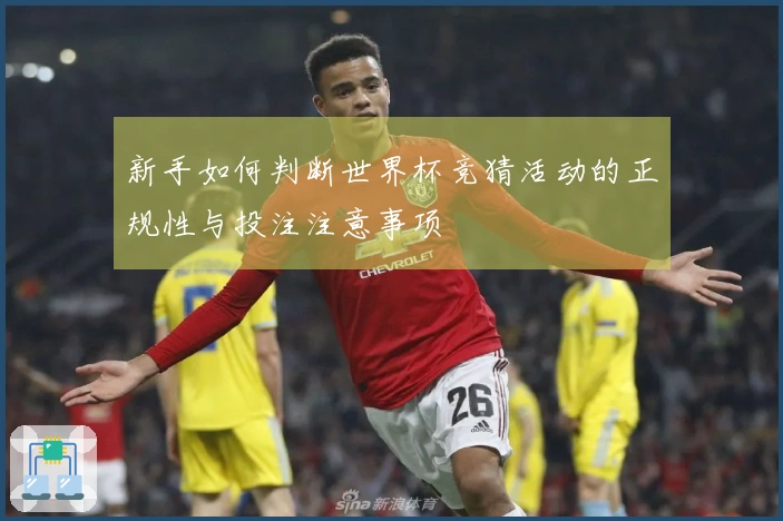 新手如何判断世界杯竞猜活动的正规性与投注注意事项