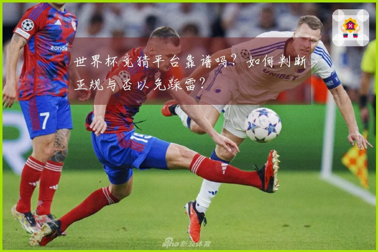 世界杯竞猜平台靠谱吗？如何判断正规与否以免踩雷？