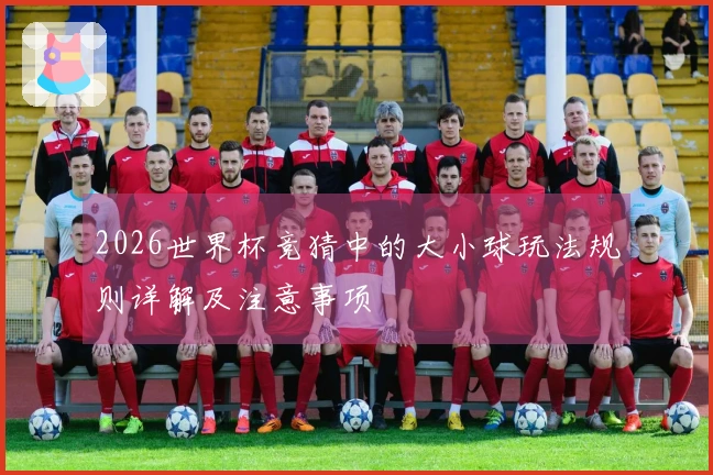 2026世界杯竞猜中的大小球玩法规则详解及注意事项