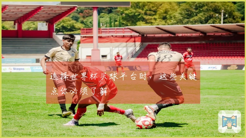 选择世界杯买球平台时，这些关键点你必须了解