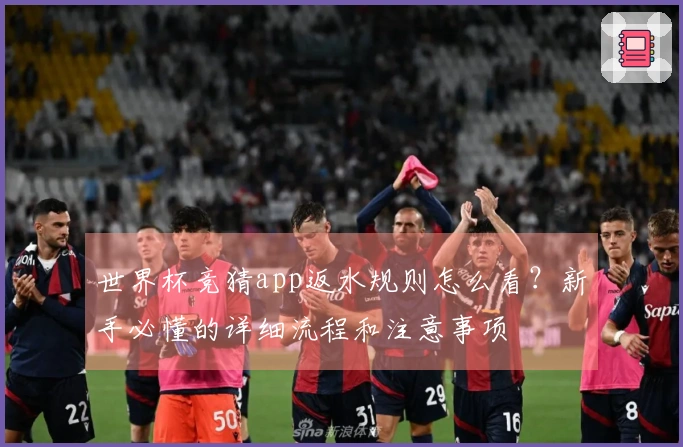 世界杯竞猜app返水规则怎么看？新手必懂的详细流程和注意事项