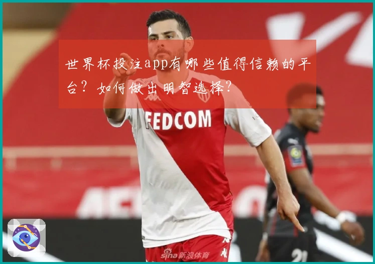 世界杯投注app有哪些值得信赖的平台？如何做出明智选择？