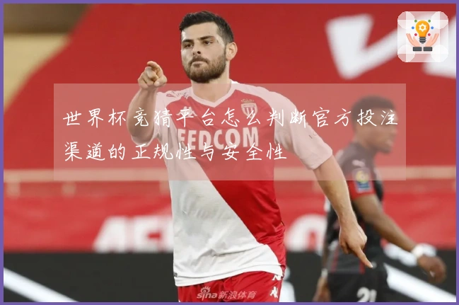 世界杯竞猜平台怎么判断官方投注渠道的正规性与安全性