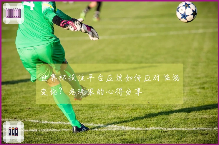 世界杯投注平台应该如何应对临场变化？老玩家的心得分享