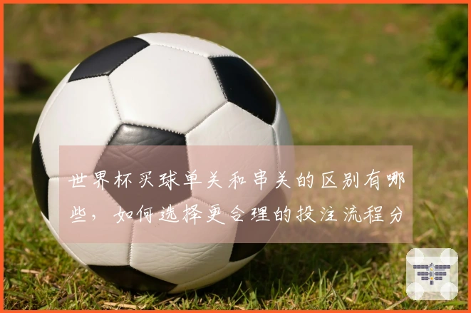 世界杯买球单关和串关的区别有哪些，如何选择更合理的投注流程分析