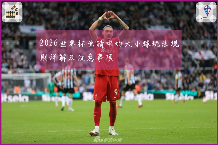 2026世界杯竞猜中的大小球玩法规则详解及注意事项
