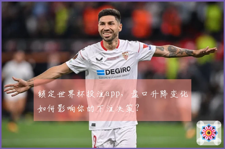锁定世界杯投注app，盘口升降变化如何影响你的下注决策？