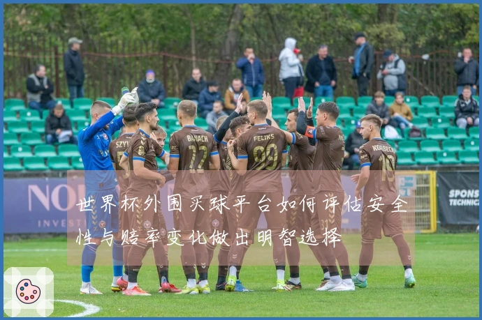 世界杯外围买球平台如何评估安全性与赔率变化做出明智选择