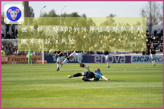 世界杯买球app如何评估各球队夺冠概率和投注风险