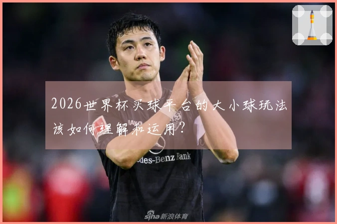 2026世界杯买球平台的大小球玩法该如何理解和运用？