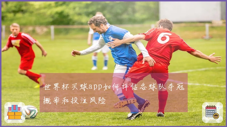 世界杯买球app如何评估各球队夺冠概率和投注风险