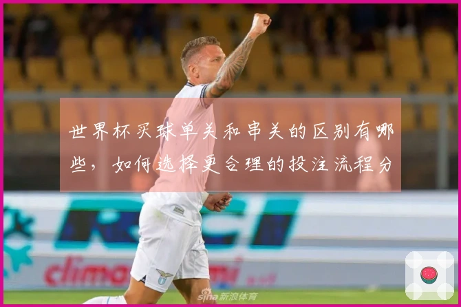 世界杯买球单关和串关的区别有哪些，如何选择更合理的投注流程分析