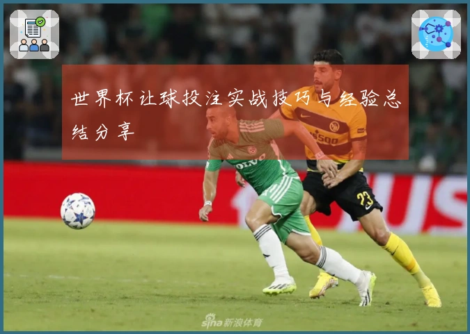世界杯让球投注实战技巧与经验总结分享