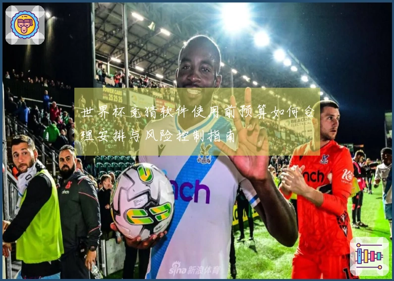 世界杯竞猜软件使用前预算如何合理安排与风险控制指南