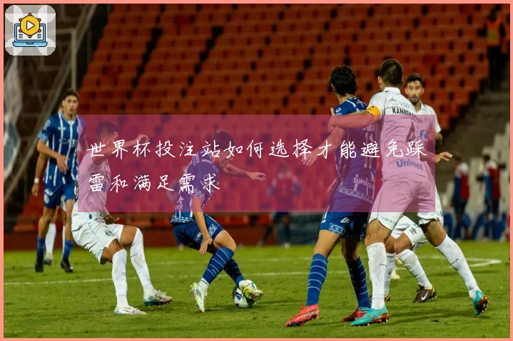 世界杯投注站如何选择才能避免踩雷和满足需求