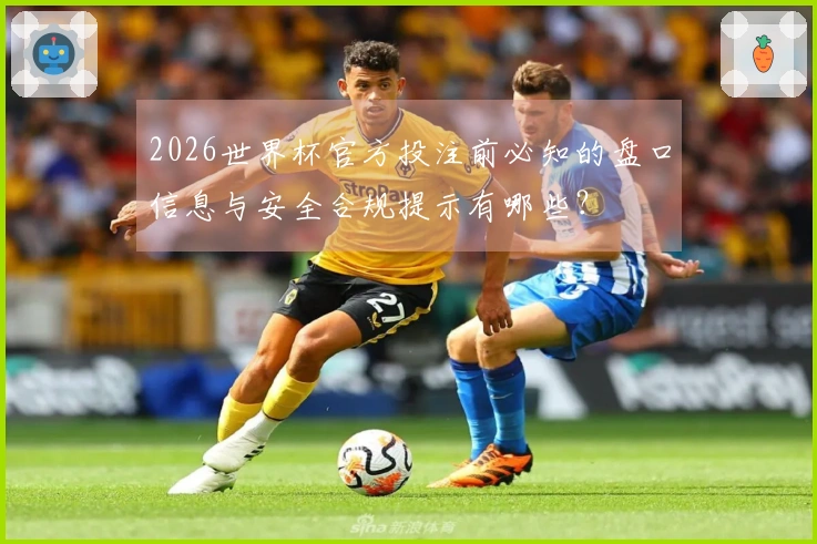 2026世界杯官方投注前必知的盘口信息与安全合规提示有哪些？