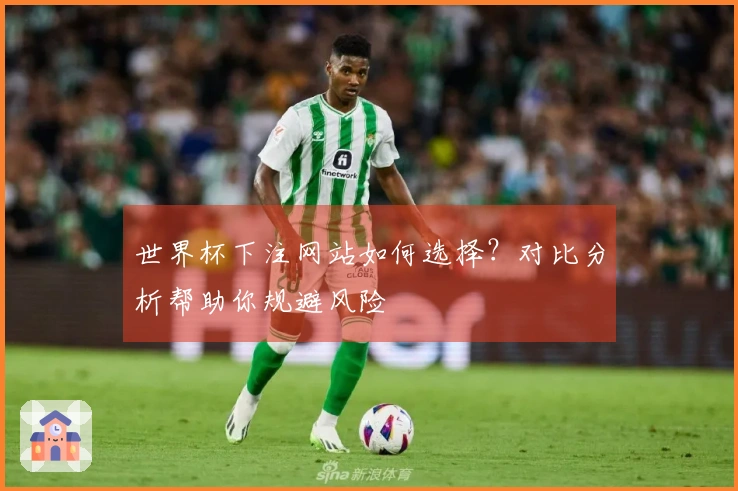 世界杯下注网站如何选择？对比分析帮助你规避风险