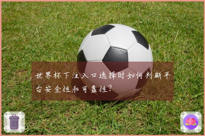 世界杯下注入口选择时如何判断平台安全性和可靠性？